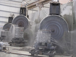 Circular Saw