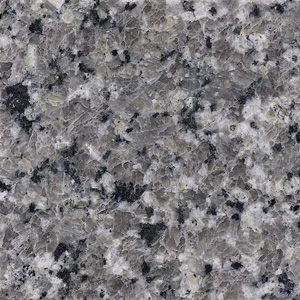 Fujian Grey